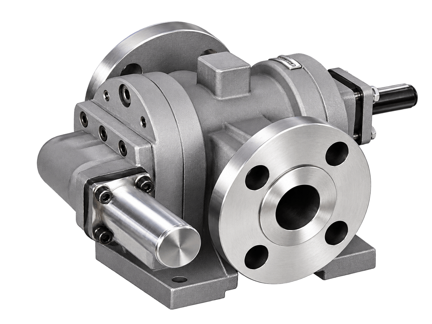 Stainless Steel Rotary Gear Pump