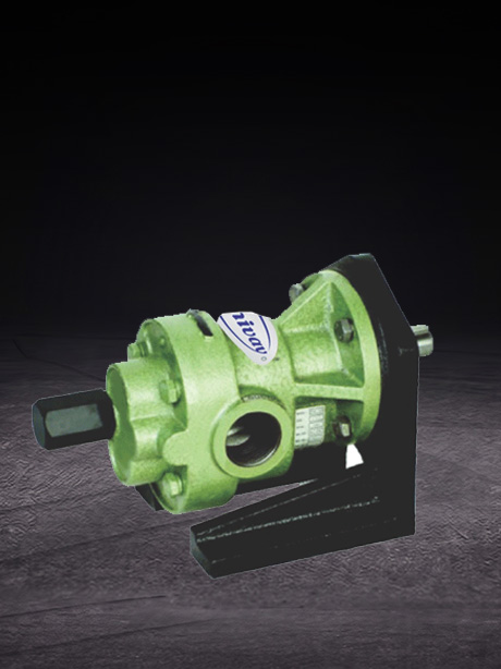 Flange Mounting Rotary Gear Pump (JKX)