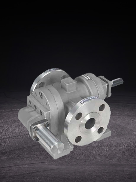 Double Helical Stainless Steel Rotary Gear Pump (JKMS)