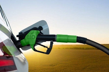 Bio - Diesel